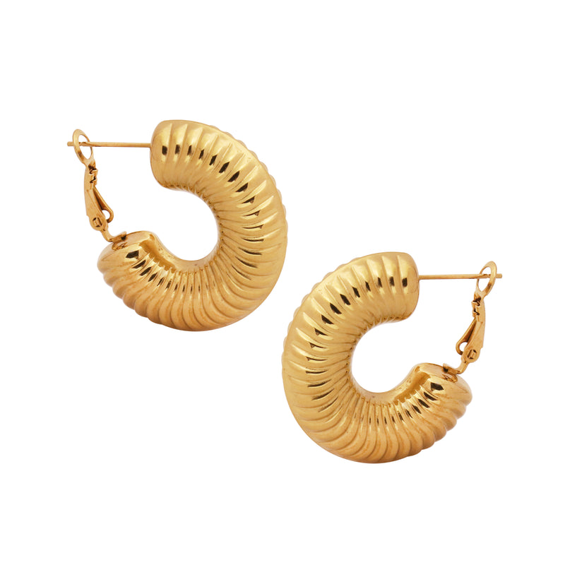 ELLIPSIS HOOPS